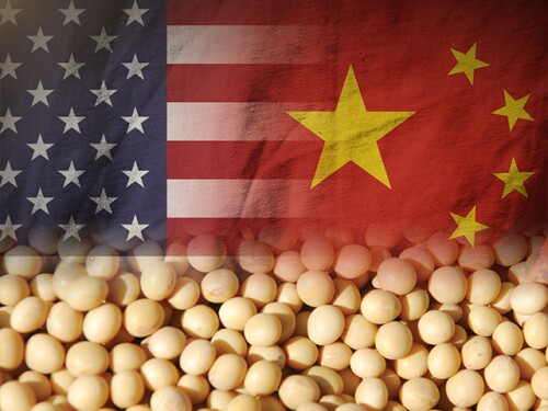 U.S. soybean sales to China