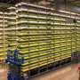 AeroFarms' vertical, aeroponic indoor process is one example of controlled environment agriculture, called CEA.