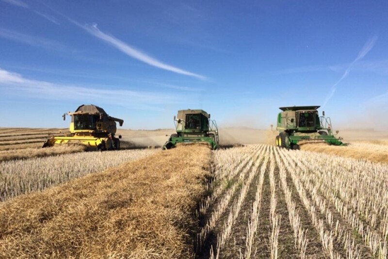 Harvest29