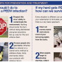 What should you do to prevent a PEDV infection? And if your herd gets PEDV, how can you survive it? Here’s help. 