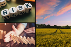 Risk Management