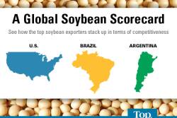 See how the top soybean exporters stack up in terms of competitiveness.