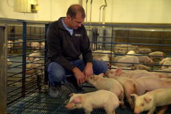 Scott Hays MO Pork Producer and NPPC President
