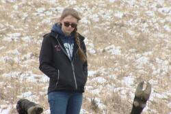 Kentucky State Police are investigating the shooting of two show cattle owned by Kyleigh Cline, Butler, KY.