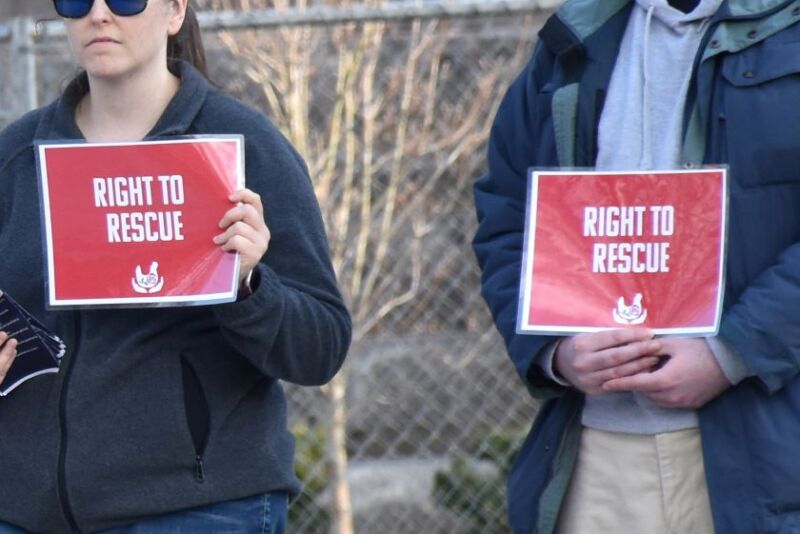 Right to Rescue Activist Signs