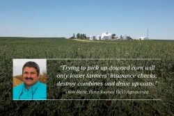 Consider residue, crop rotations and microbial activity.