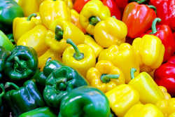 Rows of green, yellow and red bell peppers arranged side by side.