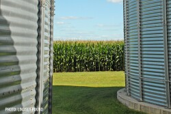 Grain bins - corn field - Lindsey Pound