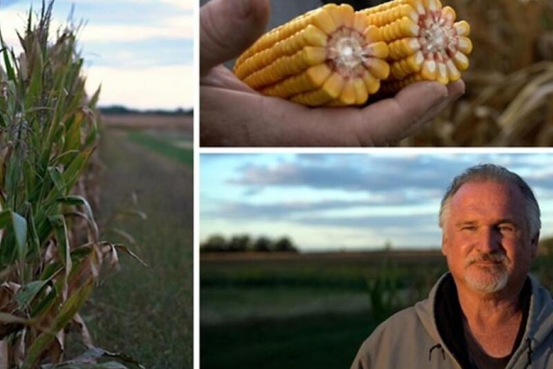 regenerative farming