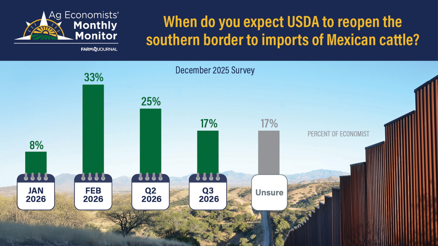 As Screwworm Inches Closer, When Could the U.S. Reopen the Southern ...