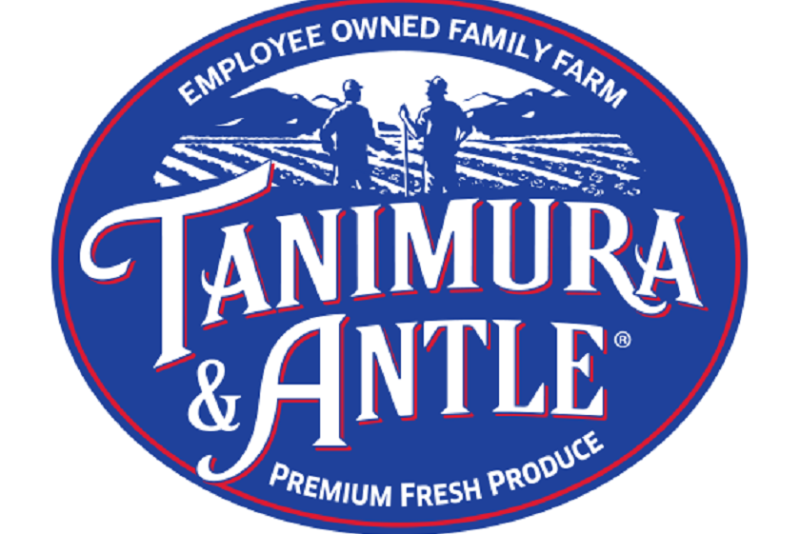 ta logo