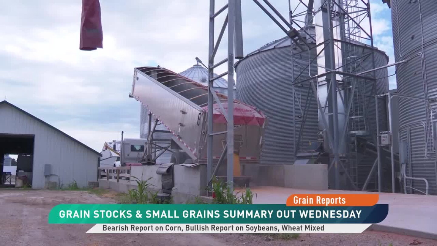 Usda Report USDA Quarterly Stocks Holds Bearish Surprise for Corn - AgWeb