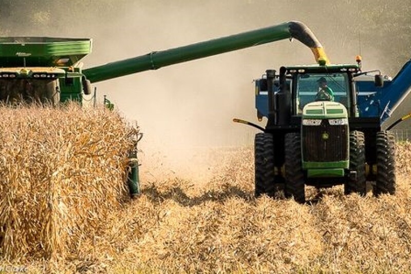 Harvesting corn on the Weihmeir farm.