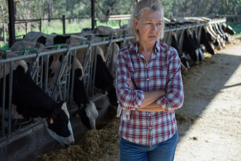 The stresses of farming can leave individuals feeling bitter, anxious and overwhelmed. 
