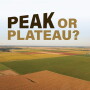 Peak or Plateau