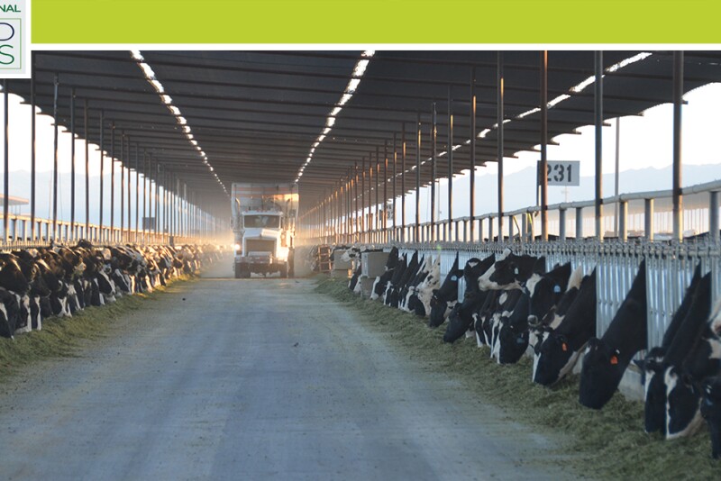 Certainly, the variation that exists in accurately feeding cows is enormous. These challenge producers, consultants, nutritionists, and veterinarians.