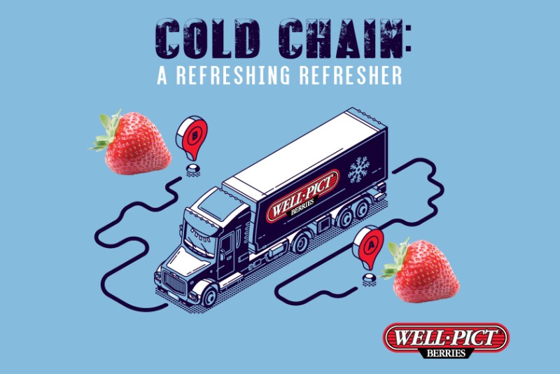 Well-Pict Inc. 
