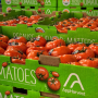AppHarvest tomatoes