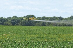 Fungicide Application