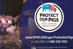 Protect Our Pigs