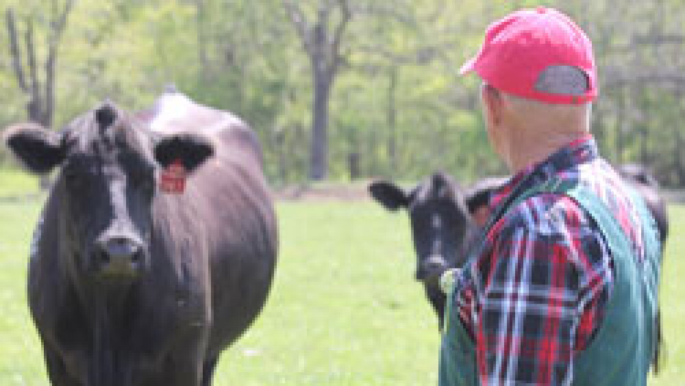 Veterinarian_250_April19.jpg