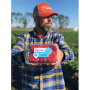 Clamshell packaging such as this is still the most common for many produce items. To help minimize waste and lessen environmental impact, Wish Farms plans to test compostable fiber punnets using top-seal film, says Nick Wishnatzki, marketing and projects manager.