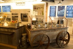 11_Vue_interieure_de_la_yogurteria__The_yogurt_culture_company___New_York_2_(1)