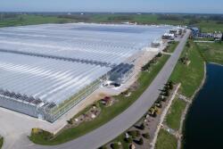 Watch the video above with Andy Bishop, director of farm services at AgTech Scientific, to learn about the potential of hemp in Kentucky.  