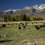 Nevada's Clover Valley Ranch