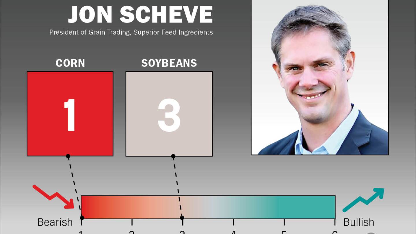 Jon Scheve: Expect To See Seasonal Rallies and Weather Risk - AgWeb