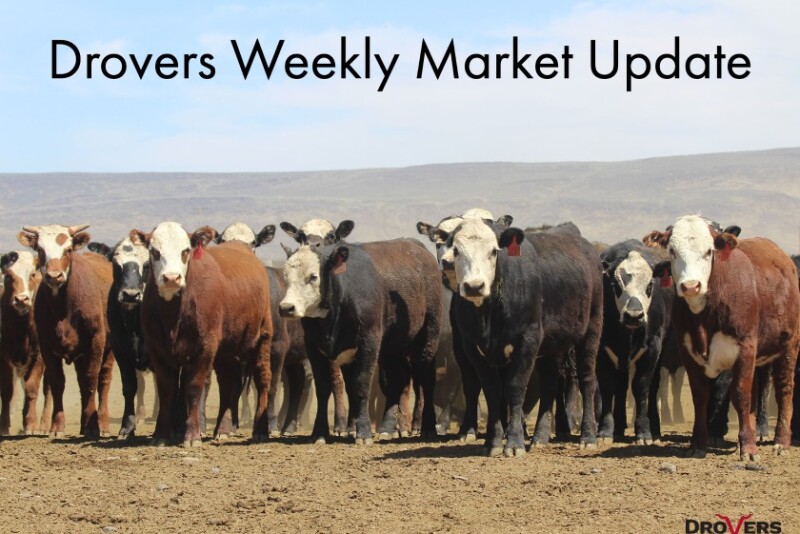 Drovers-Market-Image_0.jpg