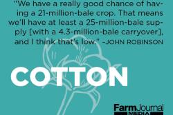 With the big cotton crop that's expected next year, it's not too early to start your marketing plan for it.