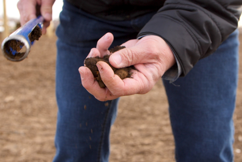 Domex Superfresh Growers' chief horticulturist Dave Gleason discusses the importance of soil health in the latest Orchard Update.