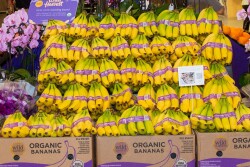stacks of bananas