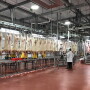 Meat Inspection