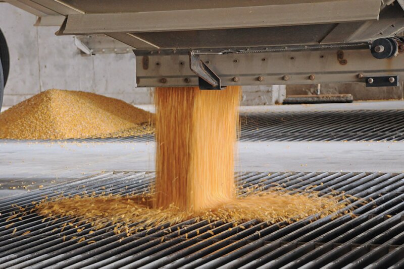 Unloading corn in Missouri.