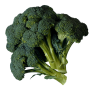Georgia growers have added broccoli acreage along with other crops not traditionally grown in the state in a bid to diversify.