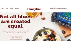 Family-Tree-website-preview.jpg