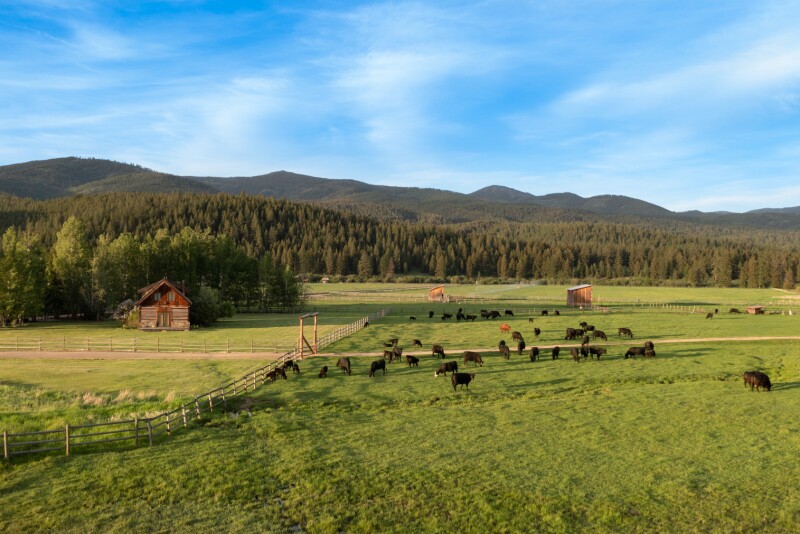 High Meadow Mountain
