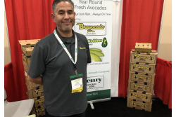 Henry Avocado  Osvaldo Figueroa