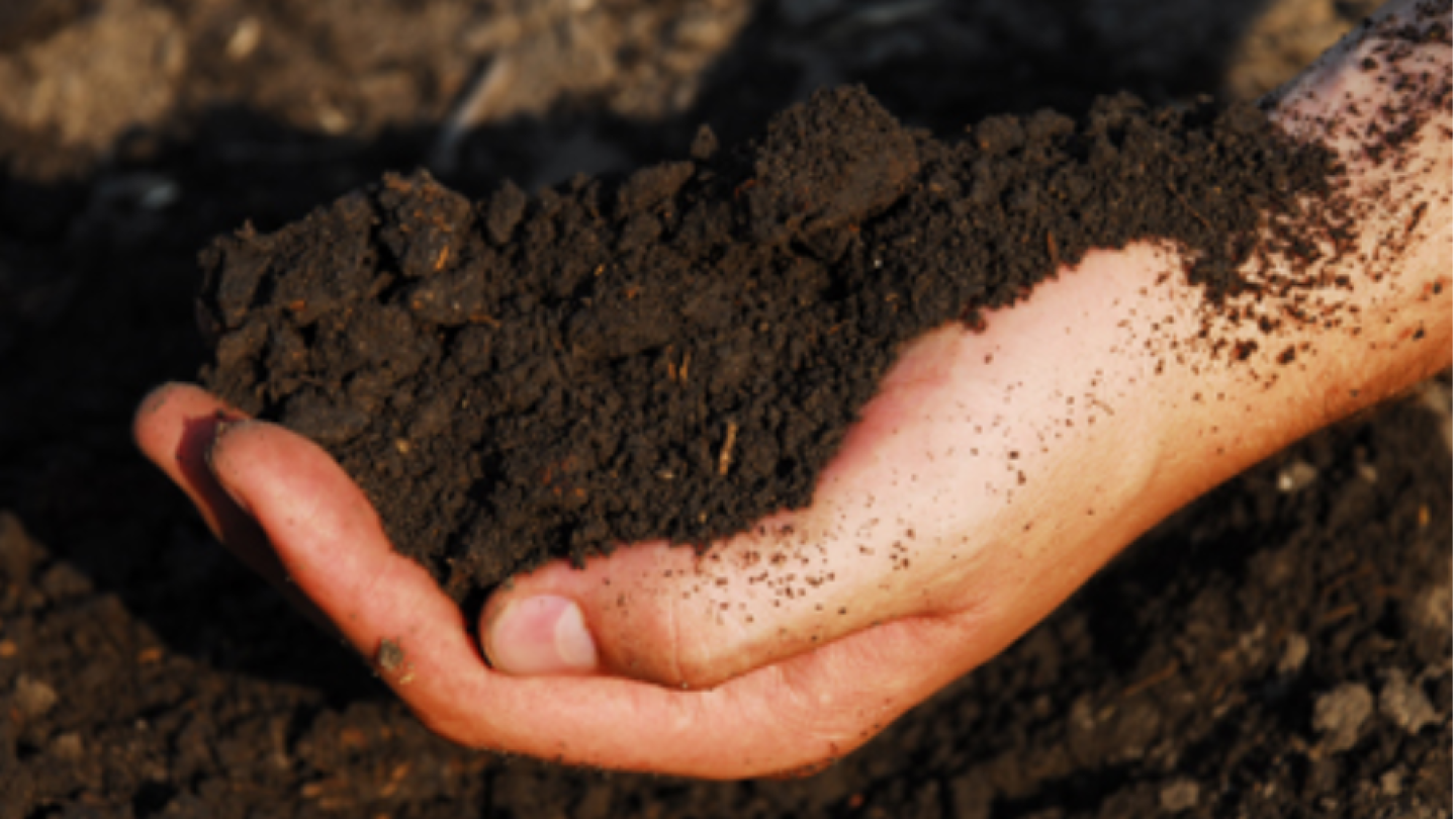 MAHA Digs-in to Soil Health