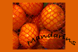 netted bag of mandarins illustration and photo