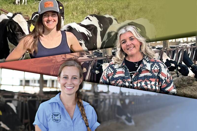 Young dairy farmers