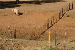 Texas dry pond