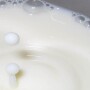 milk