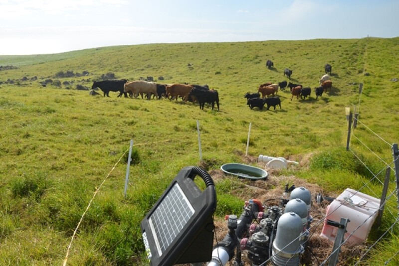 solar_fence_charger_Wyatt_Bechtel