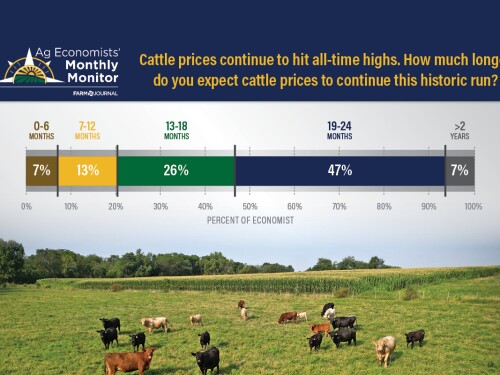 Ag Economists Monthly Monitor 10-2025 - Cattle Prices - WEB LEAD IMAGE.jpg