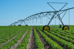 Walmart and PepsiCo collaborate on regenerative ag