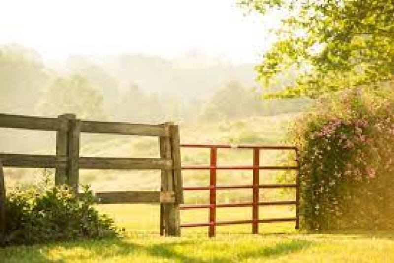 gate