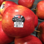The New Zealand Koru apple season is beginning. 